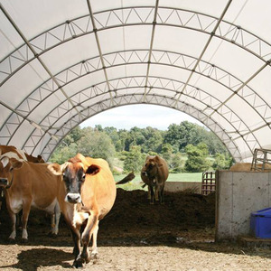 Tùy Chỉnh Nóng Mạ Kẽm Prefab Kết Cấu Thép Tòa Nhà/Kết Cấu Thép Kho/Kết Cấu Thép Hội Thảo Trung Quốc TS1 Kích Thước Ánh Sáng - Product Image 2