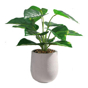 Sago Cycas-Planta Artificial moderna de aspecto Real para habitación, venta al por mayor - Product Image 6