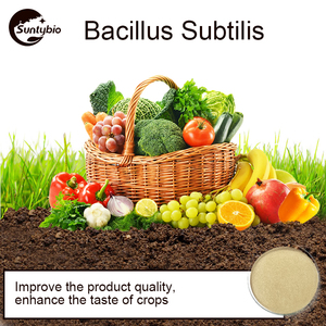<strong>Probioticos</strong> Bacillus Subtilissoil Fertilizer Additive Plant Nutrition Probiotics Feed Grade Probiotic Powder - Product Image 5