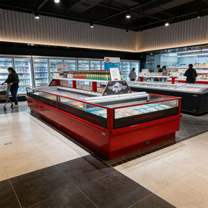 Vitrine Réfrigérée Horizontale Combinée pour Supermarché, Présentoir à Viande, Poisson et Crème Glacée, Congélateurs - Product Image 3