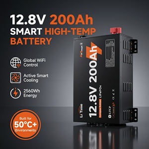 <span class=keywords><strong>Batería</strong></span> de Litio Lifepo4 LiTime 12V 200Ah, Venta al por Mayor, WiFi, Bluetooth, Alta Temperatura, CAN, RS485, Comunicación Fuera de la Red - Product Image 2