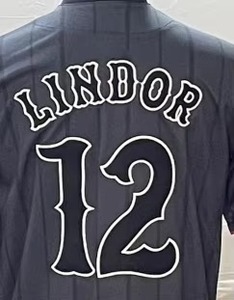 Conjunto de Uniforme de Béisbol y Sóftbol para Mujer, Tallas Grandes, Personalizado, Sublimado, Poliéster de Secado Rápido, Antibacterial y Transpirable - Product Image 4