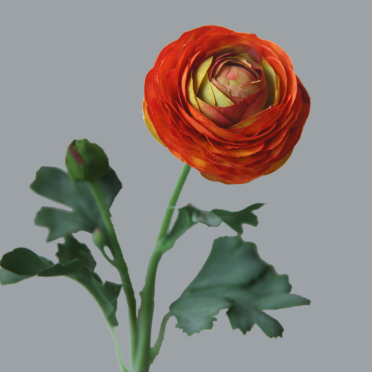 #4 Naranja