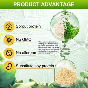 AMULYN <span class=keywords><strong>Protein</strong></span> takviyesi takviyesi % NON-GMO glutensiz <span class=keywords><strong>Vegan</strong></span> <span class=keywords><strong>Protein</strong></span> karışımı tozu pirinç bezelye proteini izolatı - Product Image 3