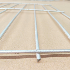 Tùy chỉnh trồng rau cà chua seedbed nhà kính vườn ươm băng ghế dự bị phát triển bảng dây thép mạ kẽm lưới - Product Image 5