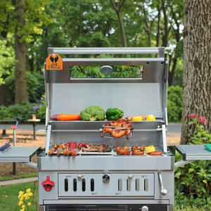 Four à <span class=keywords><strong>barbecue</strong></span> à <span class=keywords><strong>gaz</strong></span> en acier inoxydable pour l'extérieur Propane (LP/LPG) Cuisine <span class=keywords><strong>de</strong></span> camping <span class=keywords><strong>Bois</strong></span> à haute pression électronique pour les fêtes - Product Image 4