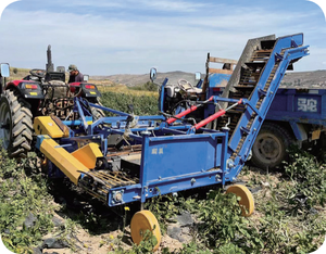 Mini Scavatrice Raccoglitrice di Patate a 1/2 Fila con Trasmissione a Ingranaggi, Larghezza di Lavoro 1,2m, Alta Produttività per Attrezzature Agricole all'Ingrosso - Product Image 2
