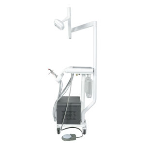 Professional Veterinary <strong>Dental</strong> Cart for Dogs and Cats - Mobile Teeth Treatment Station - Product Image 2