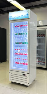 Réfrigérateur à porte vitrée pour boissons froides, vitrine à bouteilles, congélateur avec <span class=keywords><strong>casier</strong></span> - Product Image 4