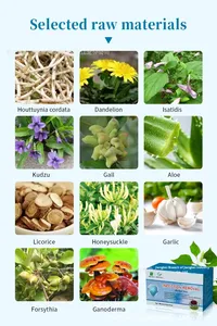 <span class=keywords><strong>Tisane</strong></span> NutriCha: Supporto Diretto dalla Fabbrica, Dropshipping Personalizzabile, Tisana Naturale Artigianale Premium di Grado AA all'Eucalipto - Product Image 4