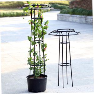 Support de plante d'extérieur, cadre pour fleurs, cadre pour roses grimpantes, cadre vert à anneau unique, poteau de soutien, treillis en forme de parapluie de jardin - Product Image 4