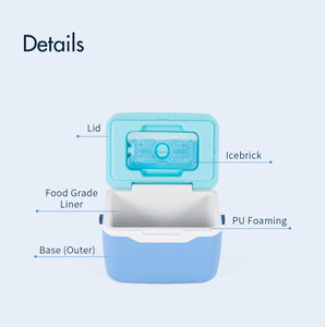 IceMaster 5.5L Custom-made logo pp Small Capacity Portable Commercial Can Cooler <b>Box</b> with Hard Handle for Camping <b>Travel</b> - Product Image 3