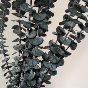 2024 piante di fiori conservati essiccate fascio di eucalipto rami di eucalipto freschi per la sistemazione di nozze decorazioni floreali per la casa - Product Image 3