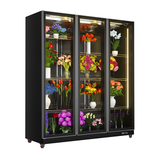 Réfrigérateur de présentation pour fleurs, congélateurs de présentation, armoires réfrigérées de présentation, réfrigérateur à fleurs d'<span class=keywords><strong>occasion</strong></span> - Product Image 2