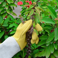 Gants de travail de haute qualité résistants aux perforations, à double épaisseur, avec manchette longue, pour la taille des haies et la coupe des arbres