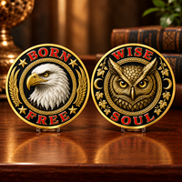 Pièce de défi double face Aigle chauve et Hibou, en alliage de zinc et fer, émail doré, avec boîtier en acrylique, Born Free Wise Soul, cadeau de collection
