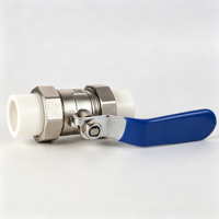 Robinet à boisseau montant en laiton et acier inoxydable PPR durable pour systèmes de chauffage hydronique et d'alimentation en eau domestique