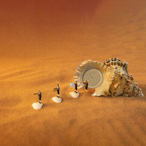 貝殻 天然貝殻 海の貝殻 装飾品 ビーチアクセサリー アウトドア Bluetoothスピーカー - Product Image 6