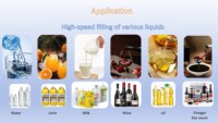 Machine de remplissage de bouteilles d'eau et de liquides en plastique de table, automatique, haute précision, avec pompe rotative PLC pour boissons, huiles, jus, cosmétiques et sérums