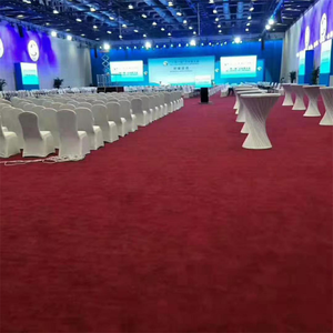 Bền Dày Fluffy Thảm Kích Thước Lớn Cắt Cọc Cuộn Sàn Thảm Cho Nhà Phòng Ngủ Trung Tâm Mua Sắm Khách Sạn Sảnh Phòng Họp Nhà Thờ Phòng Tập Thể Dục - Product Image 5