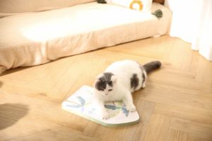 Rascador para <span class=keywords><strong>Gatos</strong></span> Resistente con Diseño Impreso, Almohadilla de Rascado de Papel Corrugado para <span class=keywords><strong>Gatos</strong></span> - Product Image 5