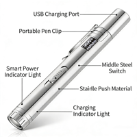 Torcia UV in Lega di Alluminio con Ricarica USB, Indicatore Luminoso Bianco, 5 Modalità, Penna Laser, Giocattolo per Gatti, Certificato CE, Telecomando, Luce Bassa