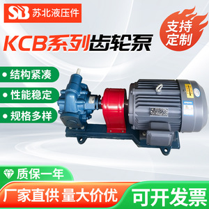ปั๊มน้ำมันเกียร์ KCB ของบริษัทหนานเอ๋อร์เจียงซูไฮดรอลิกส์  ทำจากเหล็กหล่อ  300 ลิตร/นาที  ระยะส่ง 500 เมตร  ปั๊มโรตารี่ไฟฟ้าสำหรับน้ำมันดิบและน้ำมันบริโภค - Product Image 5