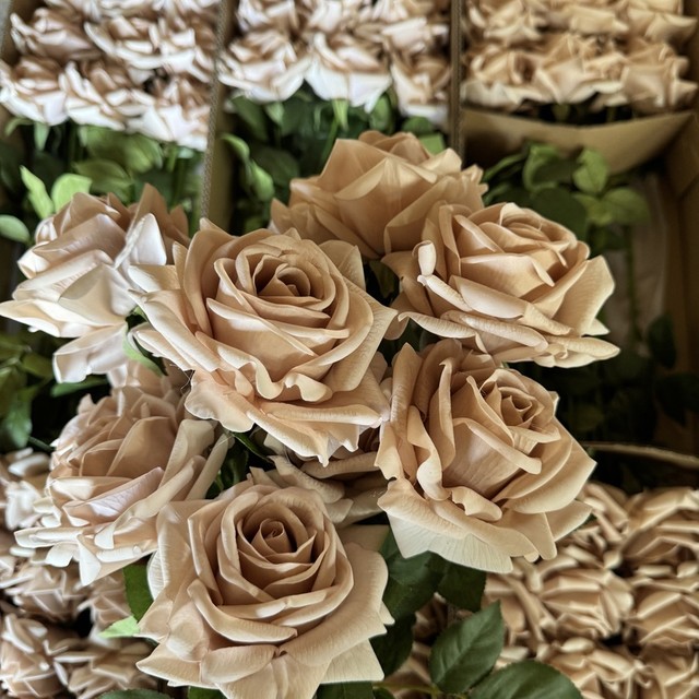 Factory Wholesale Quality Bulk Cheap Single 65cm Branch 12cm Pink Red Silk Artificial Real Touch Rose Flowers for Decoration