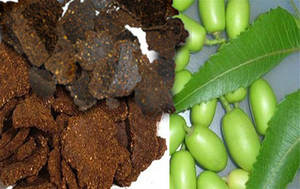 Granulés de poudre de gâteau de neem à la meilleure qualité avec certification biologique au coût le plus bas dans un emballage personnalisé - Product Image 5