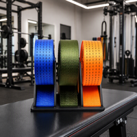 Sangle de fixation personnalisée en polyester avec cliquet pour le maintien de charges lourdes