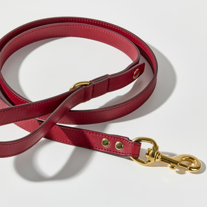 Heißer Verkauf: Multifunktionale Hundeleine mit Halsband und Tasche, verstellbar, würgefrei, ausbruchsicher – Geschirr für mittelgroße oder große Hunde - Product Image 3