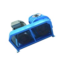 Souffleur rotatif ShanguBrand RSR125, souffleur centrifuge électrique haute pression AC, support OEM personnalisé
