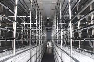 Sistema de Cultivo Vertical Hidropónico en Contenedor de Envío Grande Personalizado, con Acero Inoxidable y Funcionamiento Automático - Product Image 4