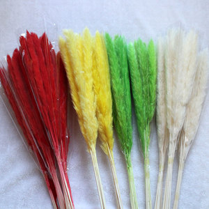 Hierba de Pampas Natural Pequeña y Seca al por Mayor, Ramo de Hierba de Pampas para Bodas, Baby Showers, Decoración Floral para Mesa del Hogar - Product Image 1