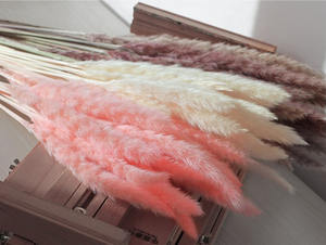 หญ้าแพมพัสแห้งขนาดเล็ก ขนฟู สีเทา สำหรับตกแต่ง - Product Image 6