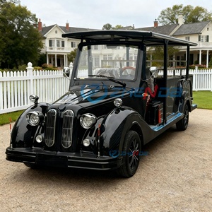 Fuel Funeral Hearse Car Coffin Hearse Wagon Hearse Buggy Cart Horse Funeral Hearse Funeral Car Classic Luxury Style - Product Image 2