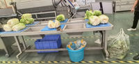 Industriële apparatuur en machines voor de verwerking van fruit en groenten
