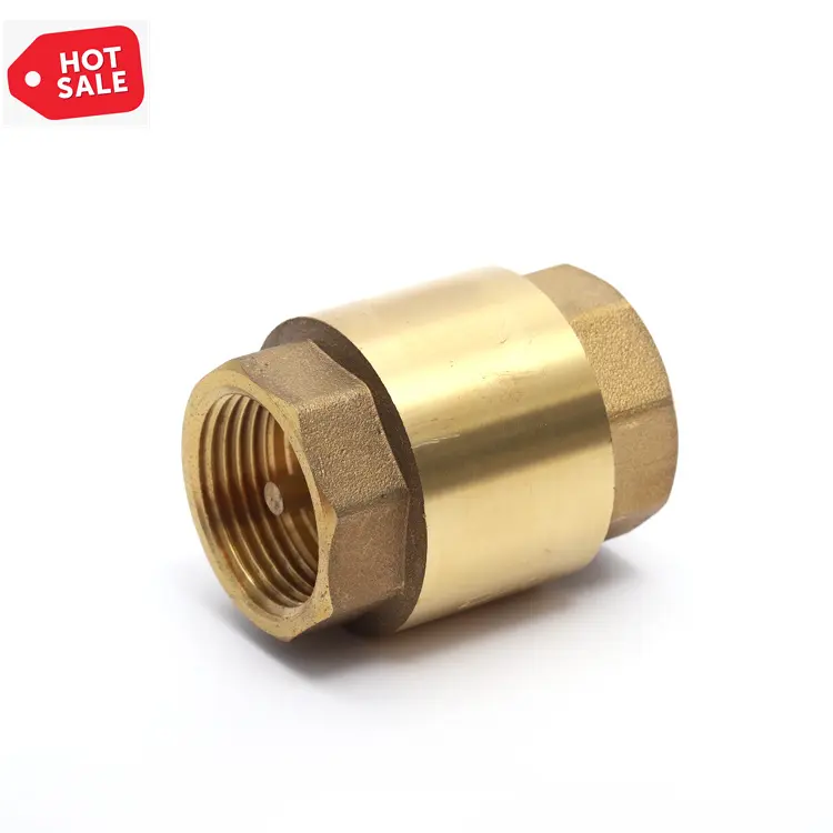 good price dn25 pn16 1 3 4 inch PN20 one way brass vertical spring loaded non return check valve for Water Pump