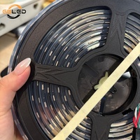 Tira de Luces LED RGBic de 10 mm con Circuito Impreso 5050, 60 LED/m, WS2811, 12 V, Programable, Direccionable, Resistente al Agua IP68, con Tecnología de Inyección de Pegamento, Color Mágico