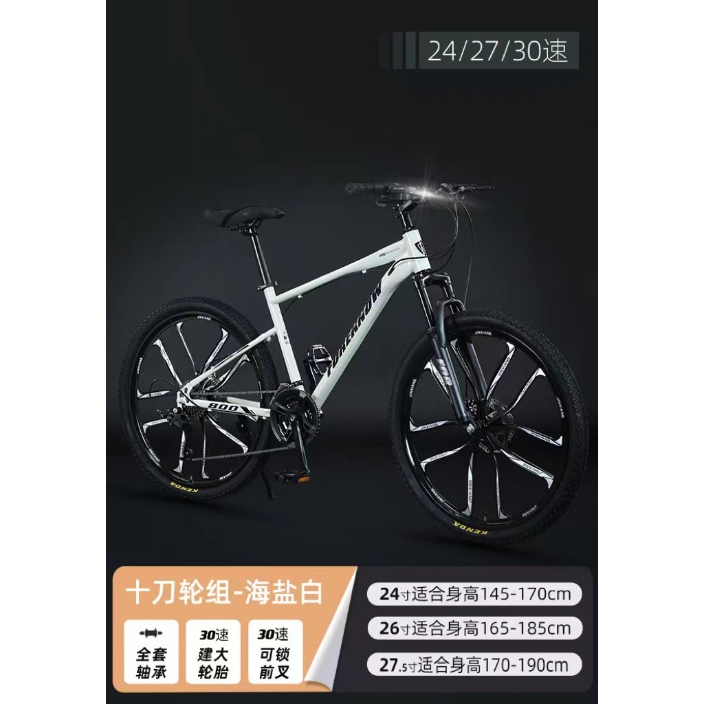 Sel Marin Blanc (roue 10 coupes)