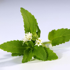 Stevia Rebaudianum <span class=keywords><strong>Bertoni</strong></span> Cas 91722-21-3 Extracto edulcorante de crisantemo Stevia Rebaudiana - Product Image 2