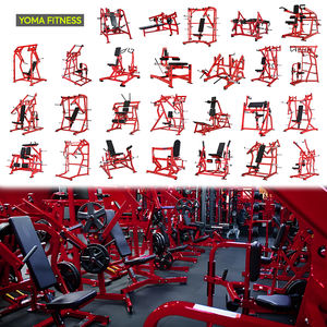 Attrezzatura per Allenamento Bicipiti con Piastre di Carico, Macchine per il Potenziamento delle <span class=keywords><strong>Braccia</strong></span>, Set Completo di Pesi Liberi per Fitness a Guangzhou, Cina - Product Image 6