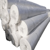 Géotextile non tissé sur mesure pour projets routiers, de barrages et de décharges