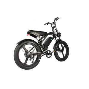 Bicicleta Eléctrica Fatbike V20 Max, Precio Económico, Stock en UE y EE. UU., 48V 1000W, 24 Pulgadas, 7 Velocidades, Neumáticos Anchos, Bicicleta Eléctrica Híbrida - Product Image 2
