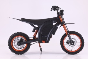 Motocicleta Eléctrica Diton, Sin Emisiones y Silenciosa. Te Permite Divertirte Mientras También Proteges el Medio Ambiente. - Product Image 3