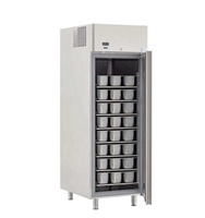 Plaques de cuisson en acier inoxydable pour cuisine commerciale, congélateur vertical, plaques GN, armoires de congélation pour pâte à pain