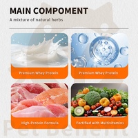 Suplemento en Polvo para Ganancia Muscular en Perros, Alto en Proteínas, BCAA, Calorías, Suplemento Alimenticio para Perros, Salud Animal, Personalización OEM/ODM