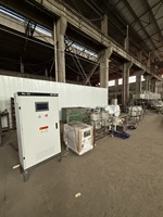 Équipement d'extraction automatique sur mesure Luoyu, petite échelle, en acier inoxydable de haute qualité, pour graines de palme, colza, olive, sésame, soja (300 kg/h)