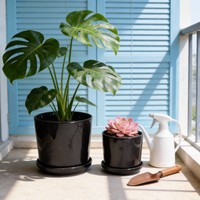 Pot de fleurs moderne en céramique indienne émaillée, durable et écologique, pour décoration de jardin potager, avec plateau
