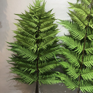 Simulación de ramas de helecho <span class=keywords><strong>Ricitos</strong></span> de oro Hojas de helecho artificial Gran simulación de plantas verdes - Product Image 2